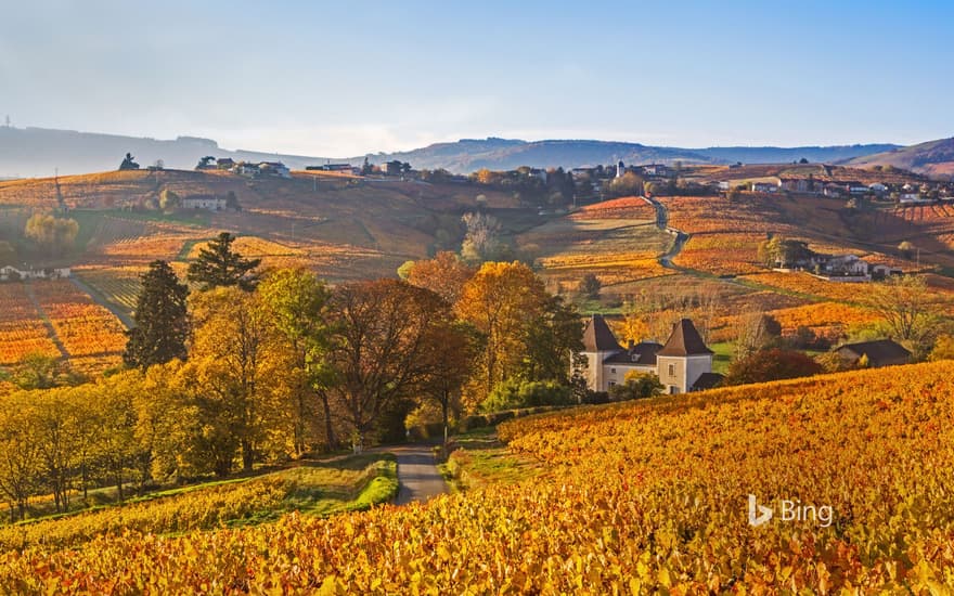 Lantignié in the Beaujolais region of France