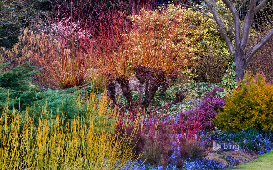 Cambridge University Botanic Garden, Cambridge, England