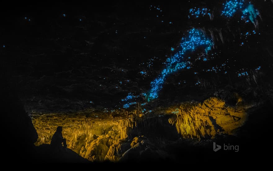 Waitomo Glowworm Caves, New Zealand