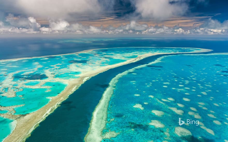 Great Barrier Reef, Queensland, Australia