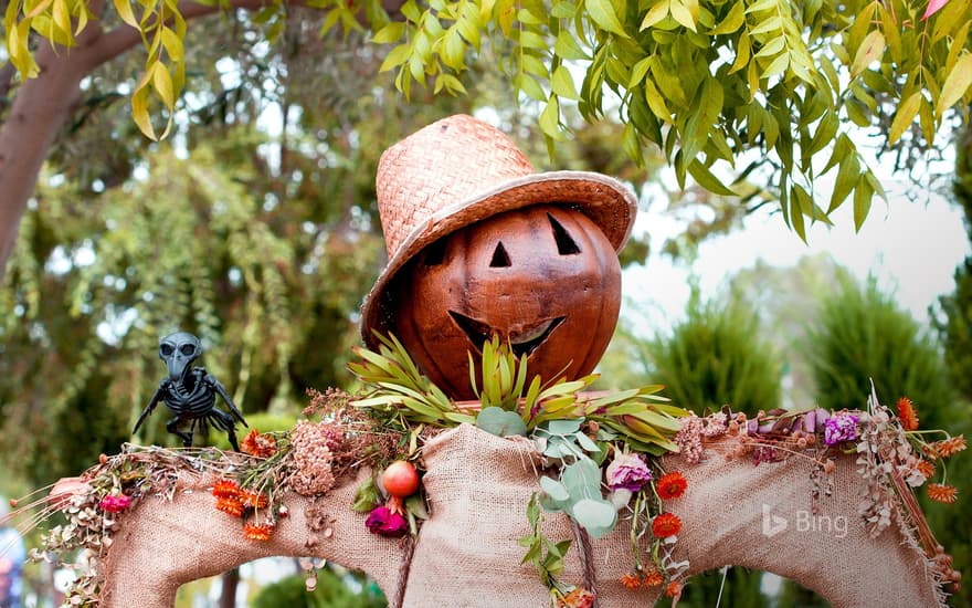  "Jack-o-Lantern Scarecrow"