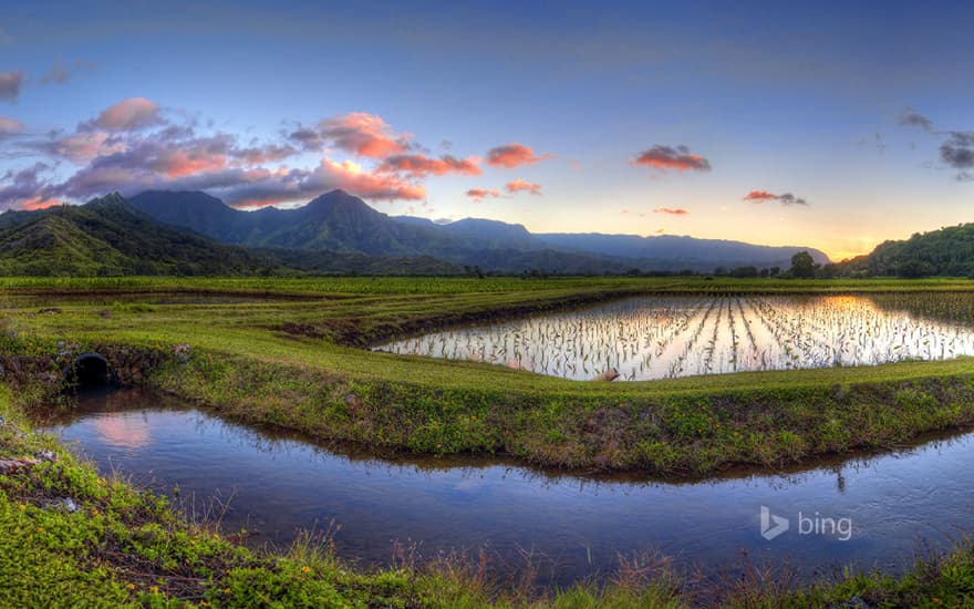 Hanalei Valley, Kauai, Hawaii