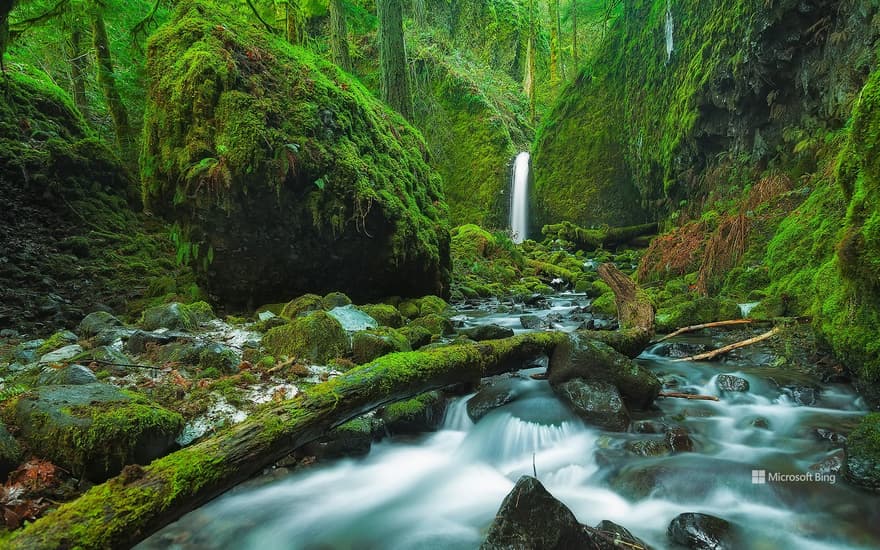 Mossy Grotto Falls, Columbia River Gorge, Oregon