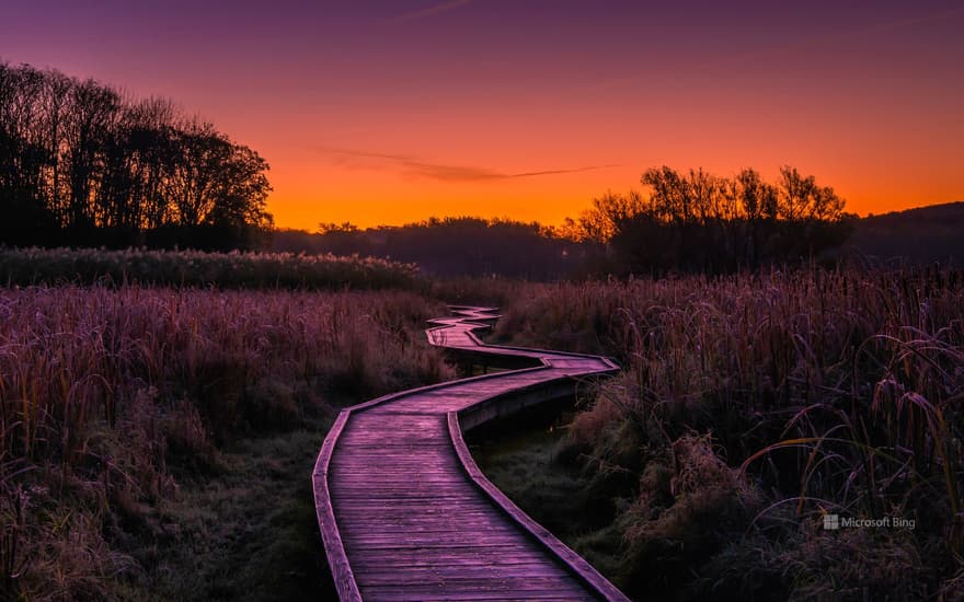 Stairway to Heaven trail, Wawayanda State Park, New Jersey, USA