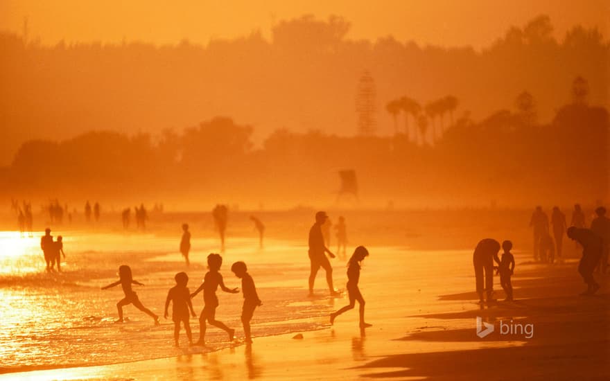 The beach at Coronado, California, USA