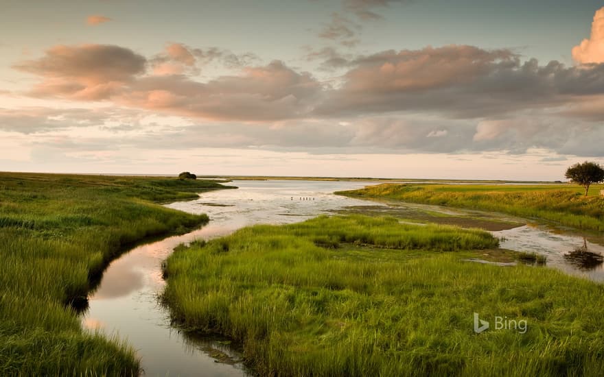 Marshland in Shediac, New Brunswick, Canada