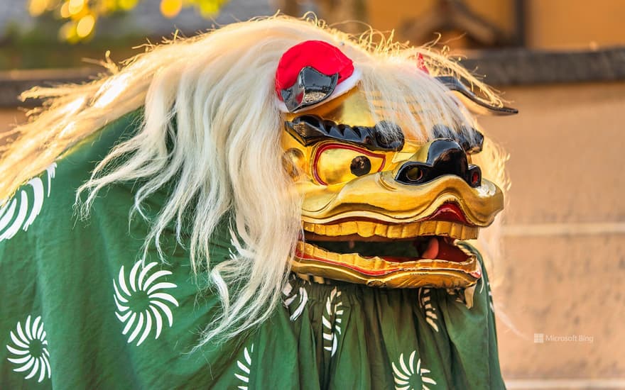 New Year Lion Dance