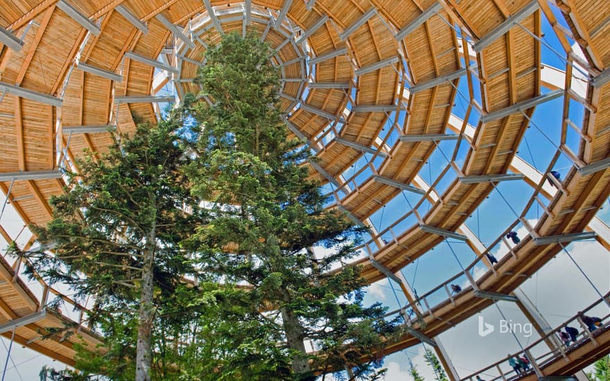 Tree tower in Bavarian Forest National Park, Neuschönau, Germany