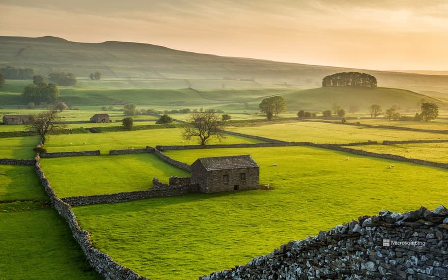 Wensleydale, Yorkshire Dales National Park, North Yorkshire, England